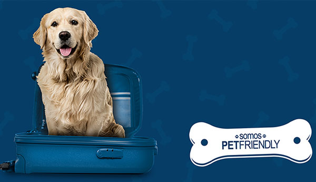 QUER VIAJAR COM O SEU ANIMAL DE ESTIMAÇÃO? ILUNION Hotels