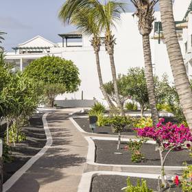 Jardim Hotel ILUNION Costa Sal Lanzarote Puerto del Carmen